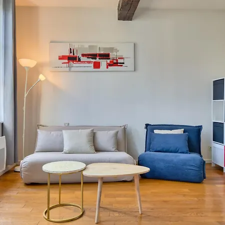 Petit Castel - T2 De 39m Au Coeur De Rue Du Gros-horloge ! Руан