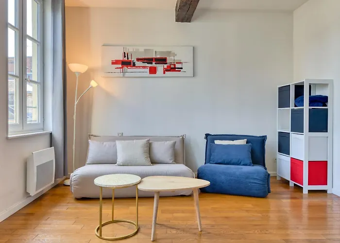 Petit Castel - T2 De 39m Au Coeur De Rue Du Gros-horloge ! Руан